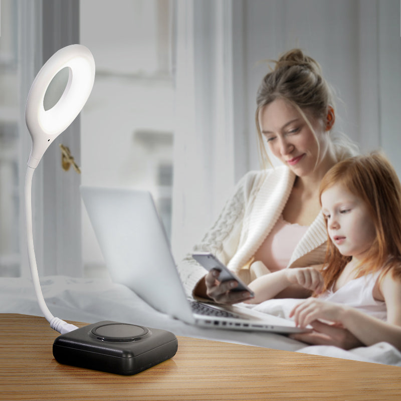 Portable Study Lamp